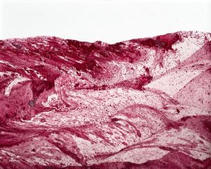 Géographie numéro R1200, 2025, 12x15cm. </br>Avec cadre 24x30cm.