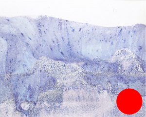 Géographie numéro E21, 2020, 12x15cm.</br>Avec cadre 24x30cm. <b>VENDUE</b>